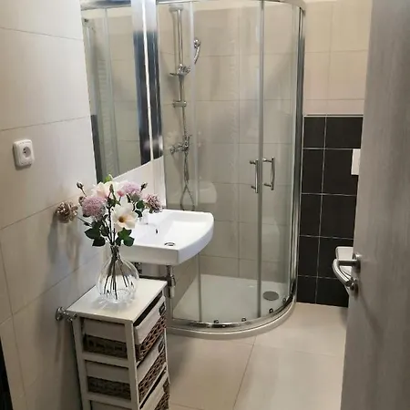 Apartment Apartman Brno